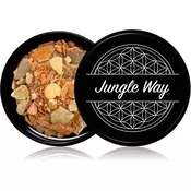 Jungle Way Attract Money kadila 15 g