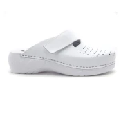 LEON ANATOMSKE COKLE, (3500_N_WHITE-36)