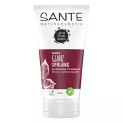 Sante Family regenerator za kosu Breza i vitamin B5 150ml