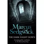 The Dark Flight Down