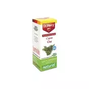 DR. HERZ eterično ulje čempresa 10ml