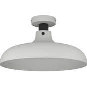 Eglo 43842 - Plafonsko svetlo MATLOCK 1xE27/40W/230V