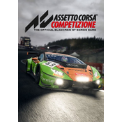 Assetto Corsa Competizione
