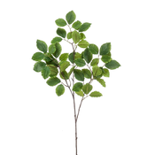 Umetna veja bukev 95cm - 76 do 100 cm
