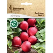 Semenarna seme Redkvica Saxa, bio