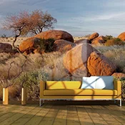 Foto tapeta - African landscape Namibia 300x231