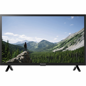 Panasonic TX-24MSW504 schwarz