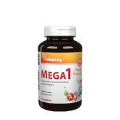 Vitaking - Mega-1 Multivitamin, 120 tablet