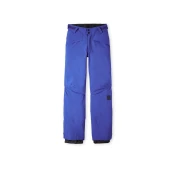 ONeill Hammer Kids Pants surf the web blue
