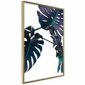 Poster - Evergreen Monstera 40x60