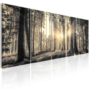 Slika - Shadow Guards 200x80