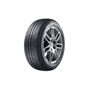 Sunny Wintermax NW611 ( 185/65 R15 88T )