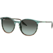 Ray-Ban RB2204 1394GK