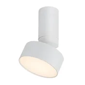 Rabalux Spot lampa Ovidia, Nadgradna, Podesiva, LED, 10W, 3000K, Bela