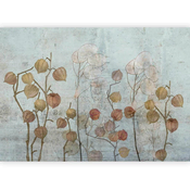 artgeist Fototapeta Painted Lunaria, 450x315cm
