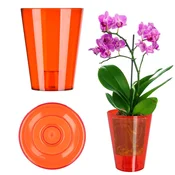 KADAX Cvetlični lonec za orhideje, plastičen, rdeč, 12 cm