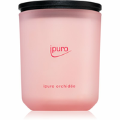 ipuro Classic Orchidée dišeča sveča 270 g