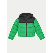 4F Puhovka 4FJWAW24TDJAM462 Zelena Regular Fit