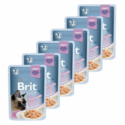 Vrečka BRIT Premium Cat Delicate Fillets in Gravy with Salmon for Sterilised 6x85 g