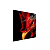 shumee STEKLENA ZAŠČITNA PLOŠČA ZA ŠTEDILNIK 50x52 ROOSTER