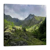 shumee Platno Narava Gore 80x80 cm