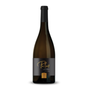 ptujska-klet Vino Rulandec Artisan Ptujska Klet 0,75 l