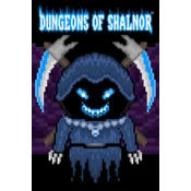 Dungeons of Shalnor PC/XBOX LIVE Key EUROPE