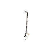Bass Clarinet Buffet Crampon Prestige nizki D/C
