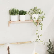 Polica za Ob hanging na Zidu Zidne Prirodna 62 x 10 x 12,5 cm