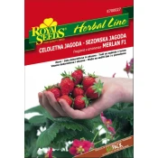 ROYAL SEEDS seme 27 Jagoda Merlan F1