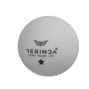 TERINDA Žogice za namizni tenis 60 kom