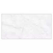 Stone Light Grey Glossy (3519) 30x60