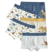 Cool Club spodnje hlače slip 5 kosov CUB3311641-00 8226163 F večbarvno 98/104