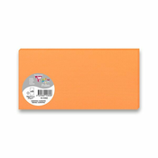 Clairefontaine Barvna pisemska kartica 106 x 213 mm za ovojnice DL, 25 kosov, oranžna, DL