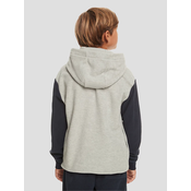 Quiksilver Essentials Polar Pulover iz pliša light grey heather