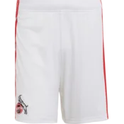 adidas Kratke hlače 1. FC Köln Home 2026/27