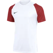 Nike Dres Dri-FIT Academy II
