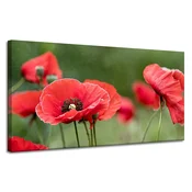 shumee Platno Botanika Rdeči maki 120x60 cm Rože Flora