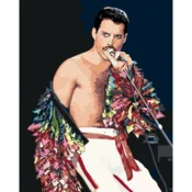 shumee Slikanje po številkah z okvirjem Slike za slikanje - Freddie Mercury 40x50 cm