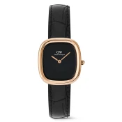 DANIEL WELLINGTON DW00100881