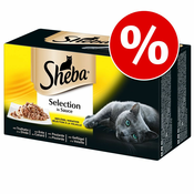 Mega pakiranje Sheba različice v vrečkah 96x85g - Selection in Sauce