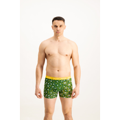 Mens boxers Frogies Zodiac Dvojček