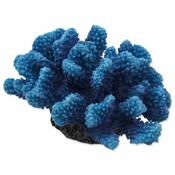 Dekoracija Aqua Excellent Sea Coral blue 14,5x10,5x7,4cm