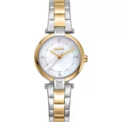 DKNY DK1L043M0075 Essential Mini Two Tone