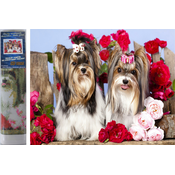 Norimpex - Puzzle Diamantna slika Psi v vrtnicah 30x40cm - 1 - 39 kosov