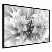 Poster - Crystal Lillies 30x20