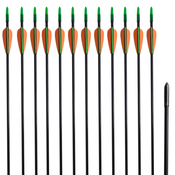vidaXL Standardne savijene strijele za luk, 30-incne, 0,6 cm, 12 komada