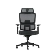 Ergonomska kancelarijska stolica UGD Ultimate Support Mesh