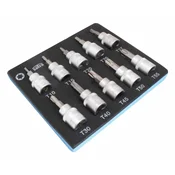 Penasti vložek - Torx T10-T55 10 kosov 18318