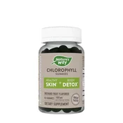 Natures Way – Žvečljivi gumi s klorofilom, sadni okus, 60 kosov